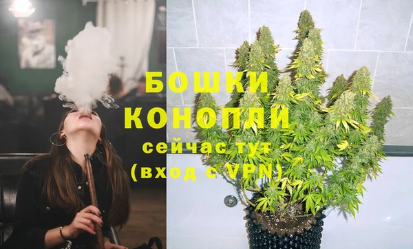 ПСИЛОЦИБИНОВЫЕ ГРИБЫ Липки