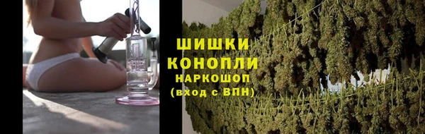ПСИЛОЦИБИНОВЫЕ ГРИБЫ Липки