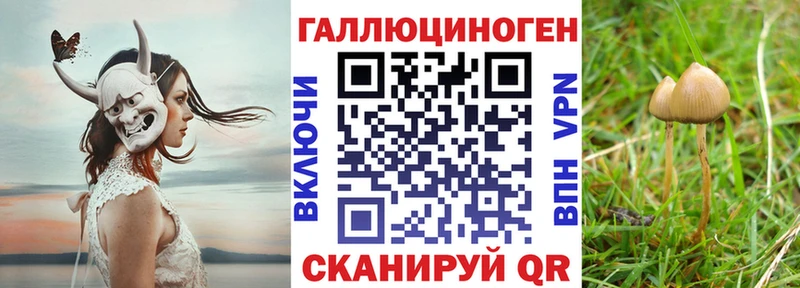 Псилоцибиновые грибы Magic Shrooms  Купить  Лабинск 